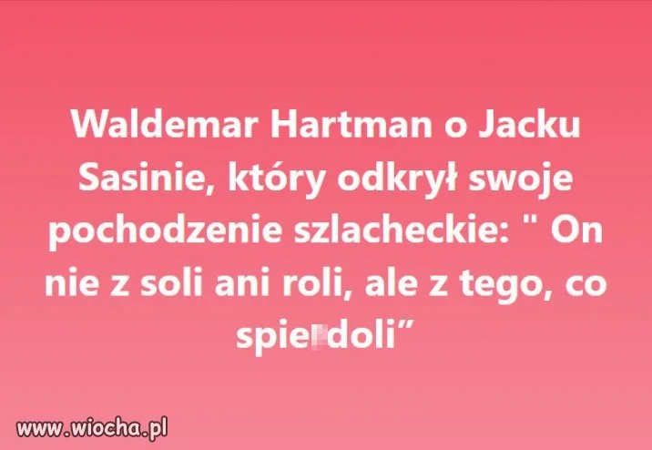 Pochodzenie szlacheckie? Pasuje do szlachty jak siodło do świni