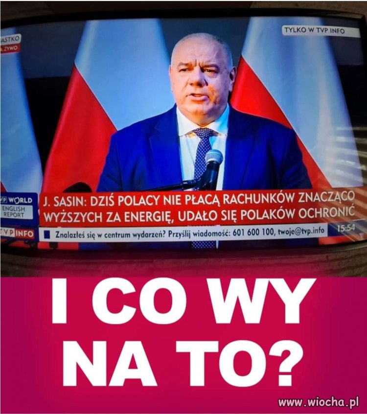 Zakłamana pisowska tłusta świnia 