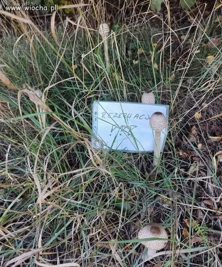 Nie ma co się śmiać 