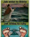 Tak to widać