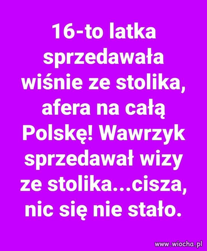 Państwo pisowskie w pigułce. Ale 15 października możemy to zmienić!