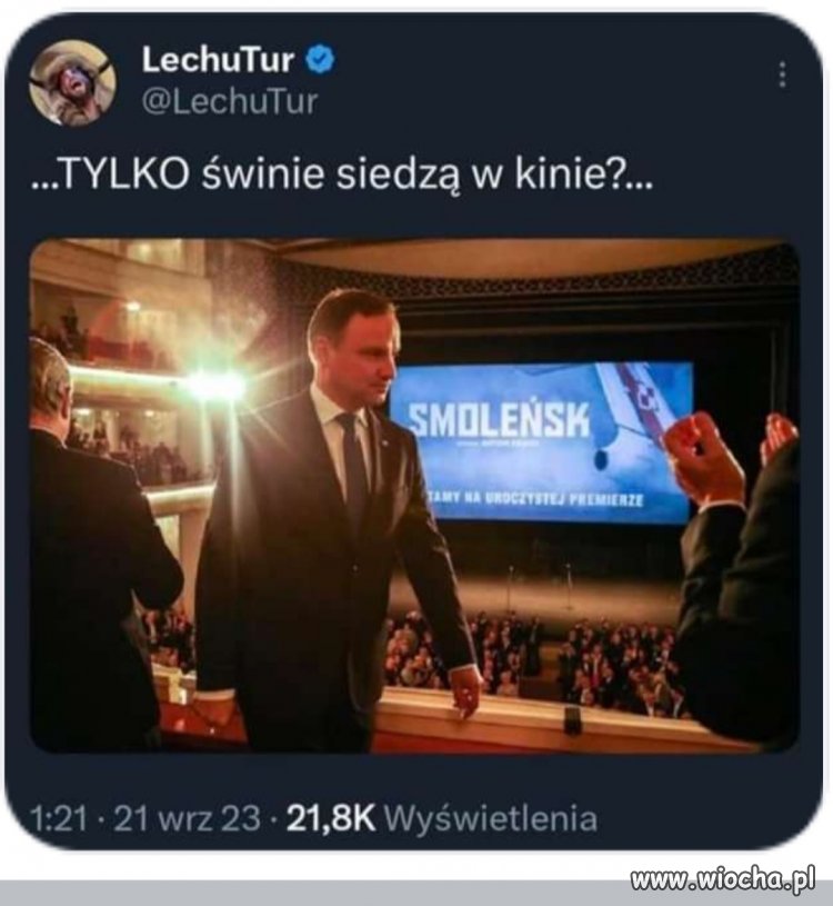 No coś w tym jest