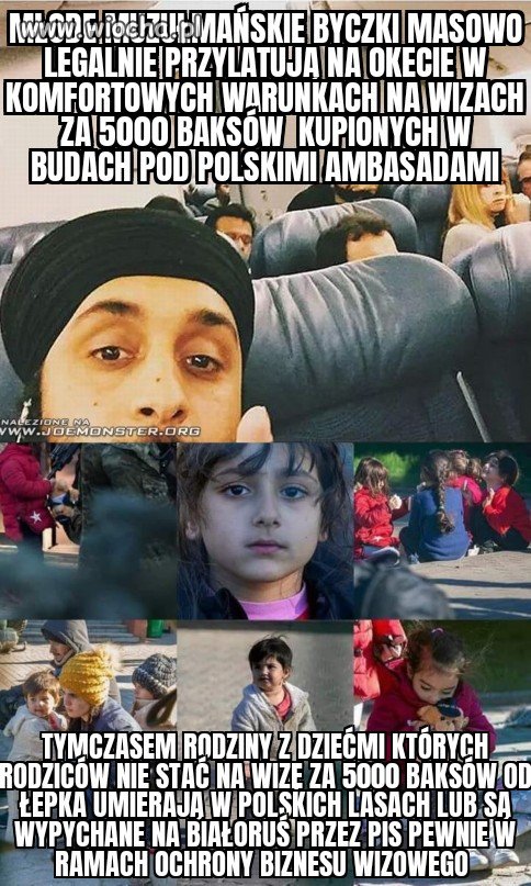 Tak pis walczy z emigracją
