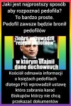 PiS i kościół kojarzą mi się głównie z pedofilami.