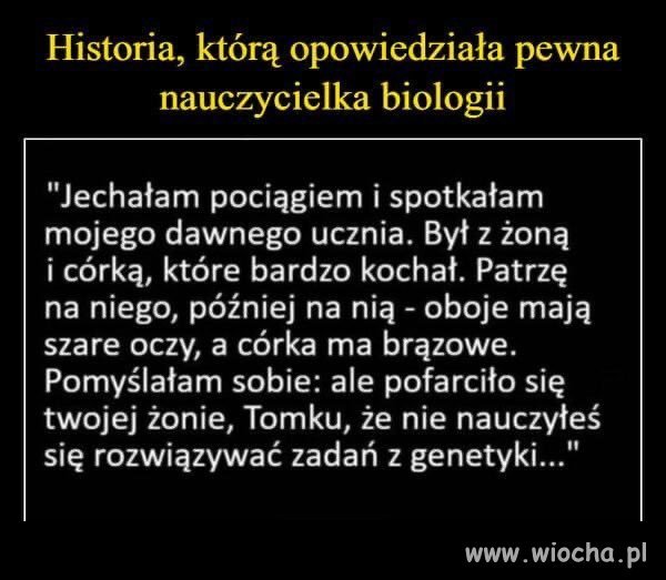 Tak to wygląda