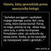 Tak to wygląda