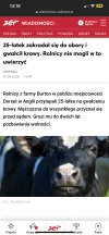 Dawał w szyję