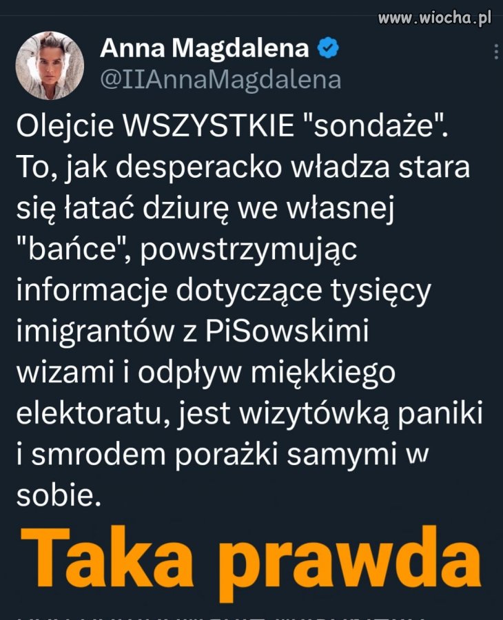 Albo KO zwycięży wysoko