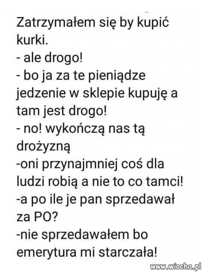 Pisowska logika i wszystko jasne