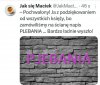 Aleluja i do przodu
