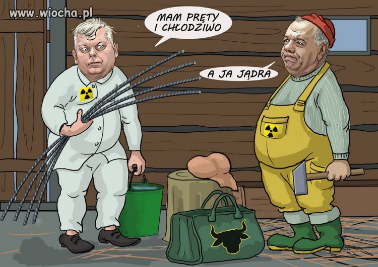 Pisowska elektrownia jądrowa 😁