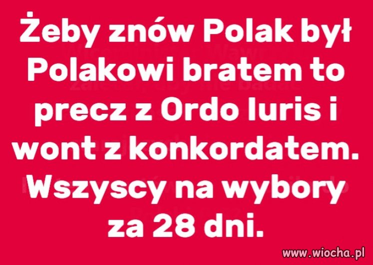Wszyscy na wybory