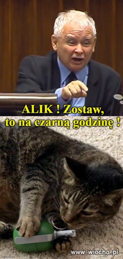 Gdy sierściuch zacznie grzebać