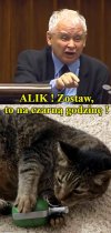 Gdy sierściuch zacznie grzebać
