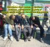 Elektorat