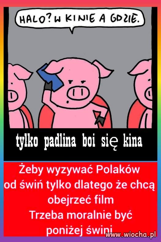 Bez komentarza