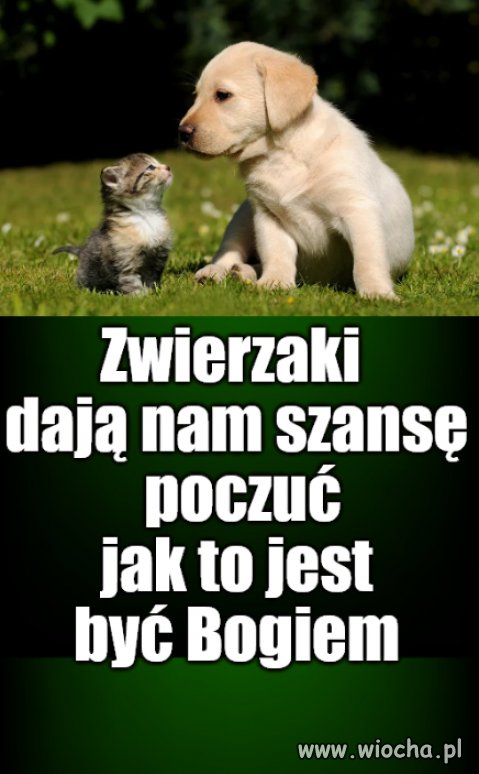 Kaprawym okiem ateisty patrząc ...