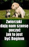 Kaprawym okiem ateisty patrząc ...
