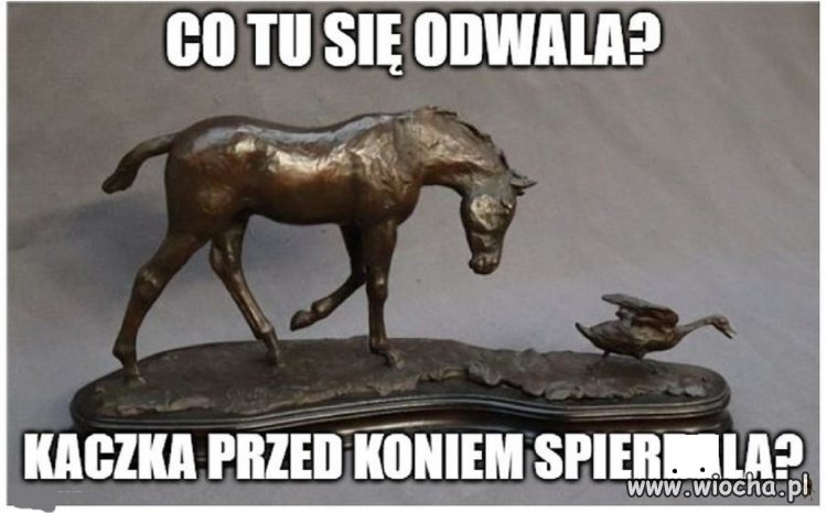 Bez komentarza