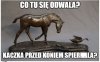 Bez komentarza