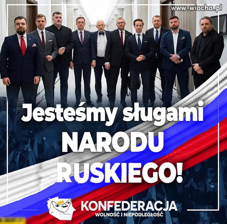 Prawda o Konfederussi