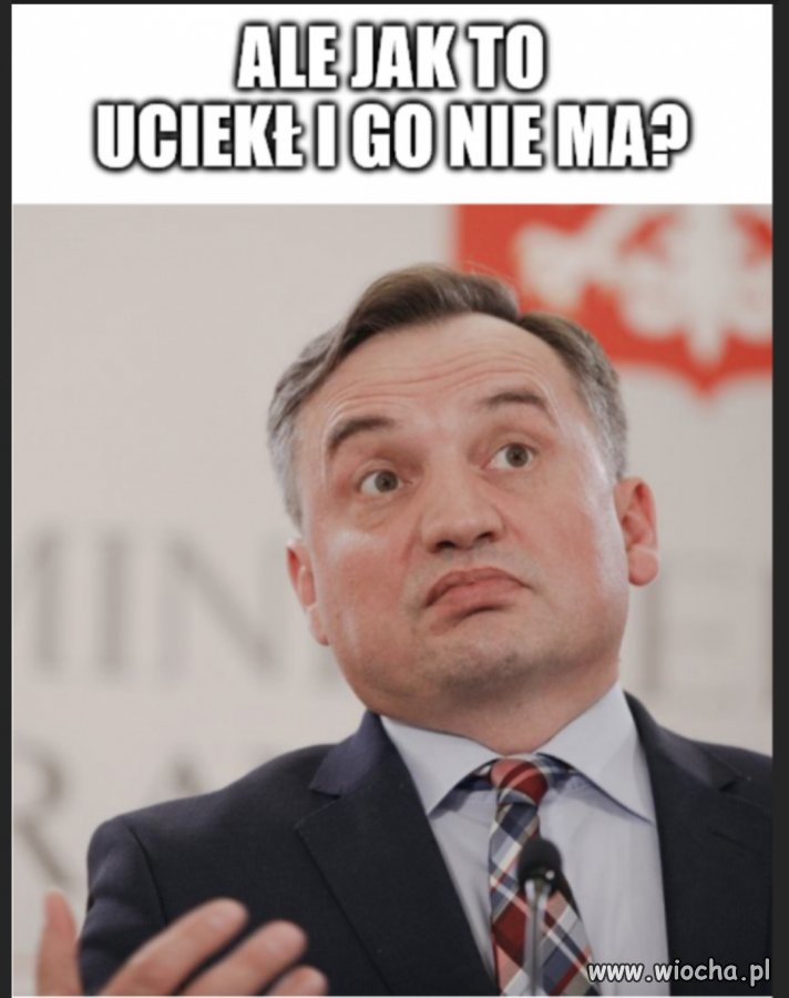 Zbyszek zawodowiec  buahahaha 
