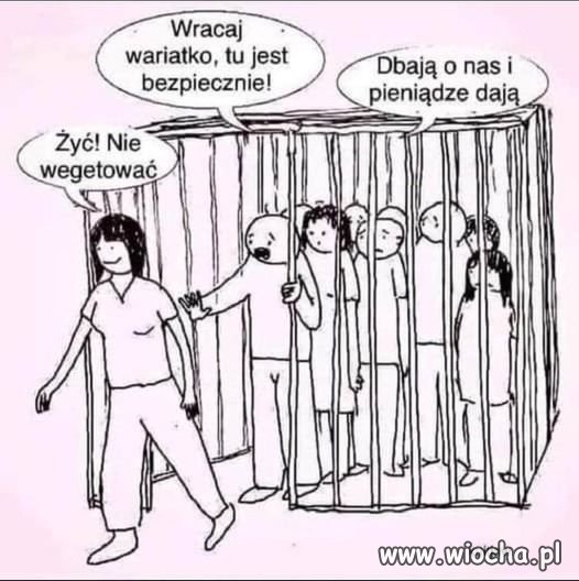 Tak to wygląda