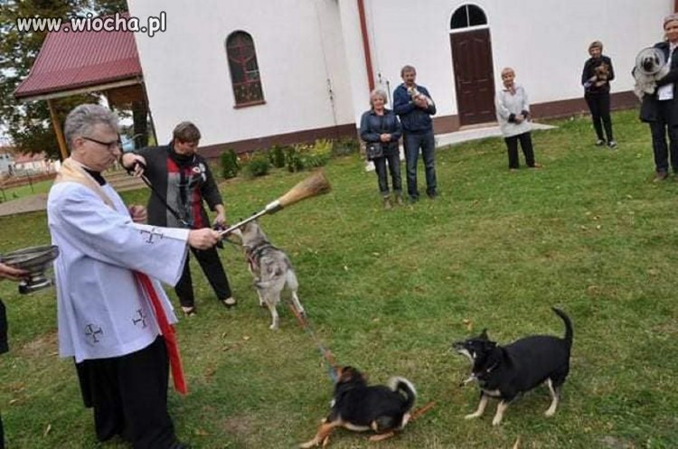 ...za tydzień bierzmowanie...