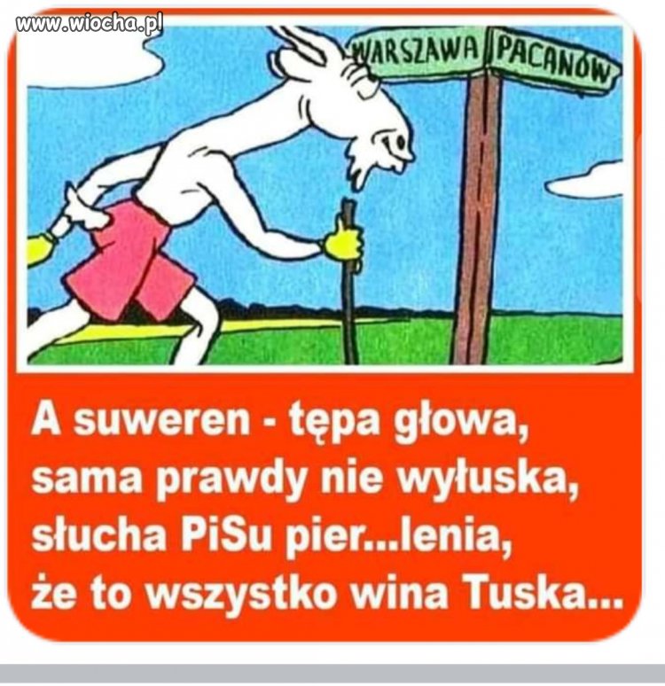 Jakież to prawdziwe