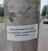 Tymczasem w Kielcach,
