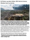 Ta jodła miała 290 lat. Zrodzona za Sasów, powalona za Ziobry