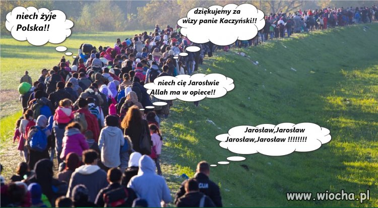 Tytułu nie ma