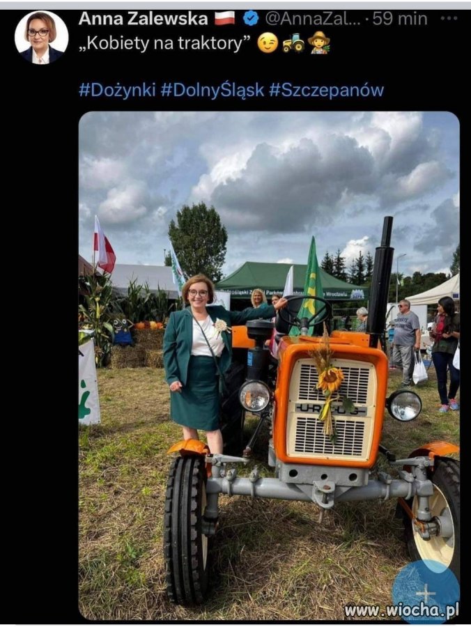 Przepraszam, że co?