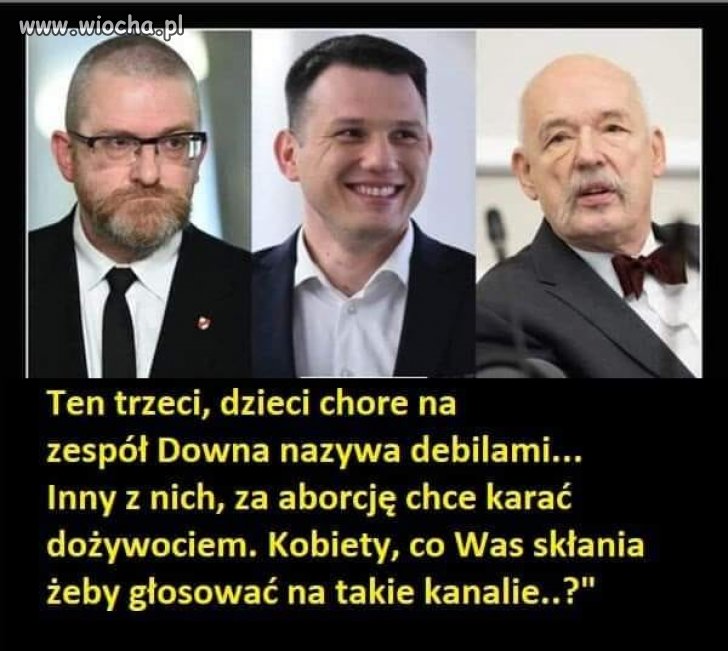 Konfederacja... chory twór   