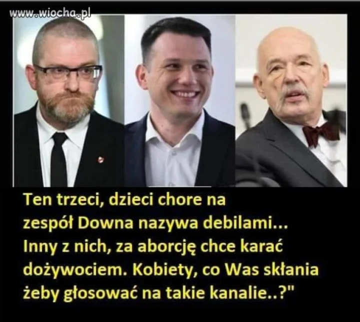 Konfederacja... chory twór   