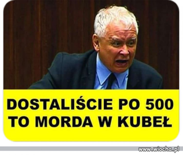 I pisiory schowały mordy w kubeł 
