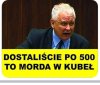 I pisiory schowały mordy w kubeł 