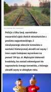 Pomysłowi kolesie 