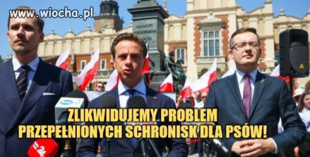 Program wyborczy konpederastii 
