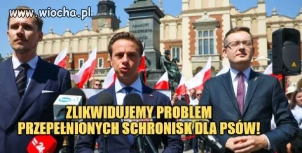Program wyborczy konpederastii 