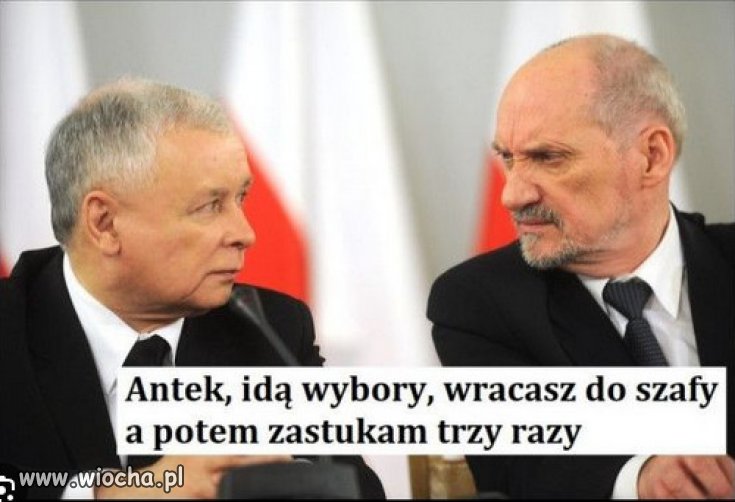 Macierewicz, czyli czubek PiSu, na choinkę...