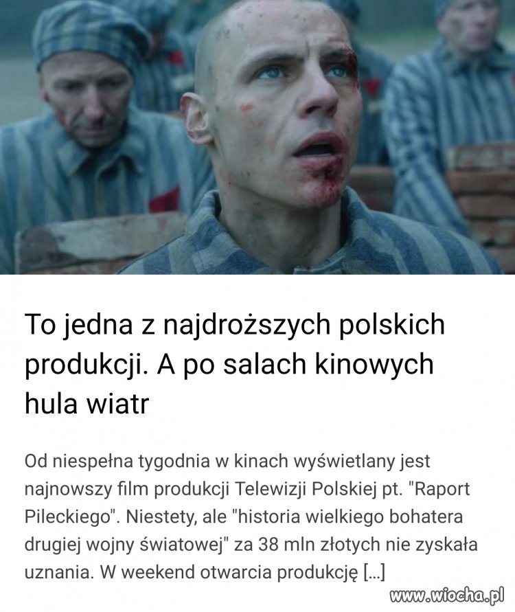 Koszulki, naklejki na autach, tatuaże, darcie ryja