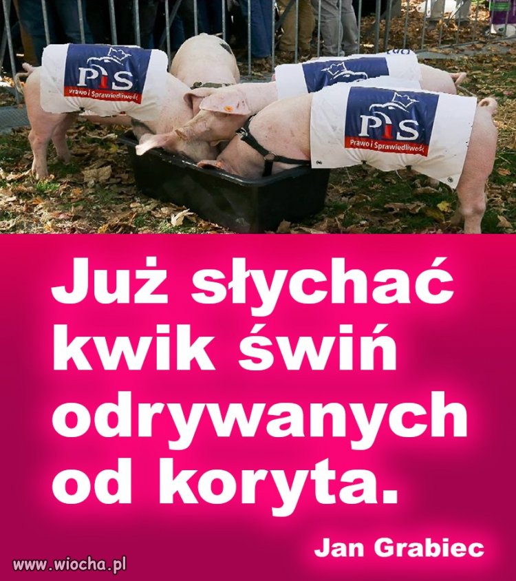 Ciekawe gdzie będą uciekać?  Białoruś? Rosja? Albania? 
