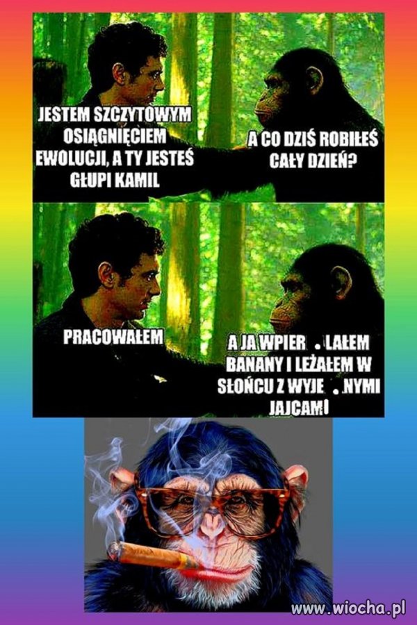 Darwin...kto mu kazał?