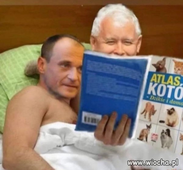 Miłość od pierwszego włożenia