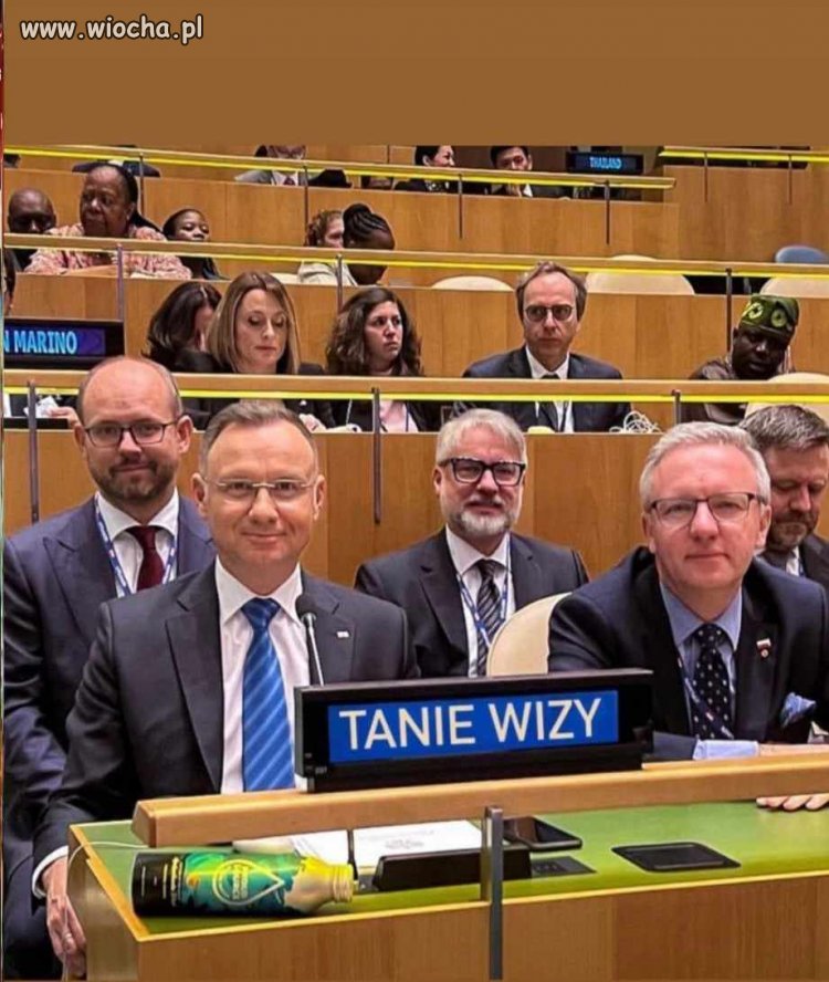 Wizy! TANIO! Polecam!!!