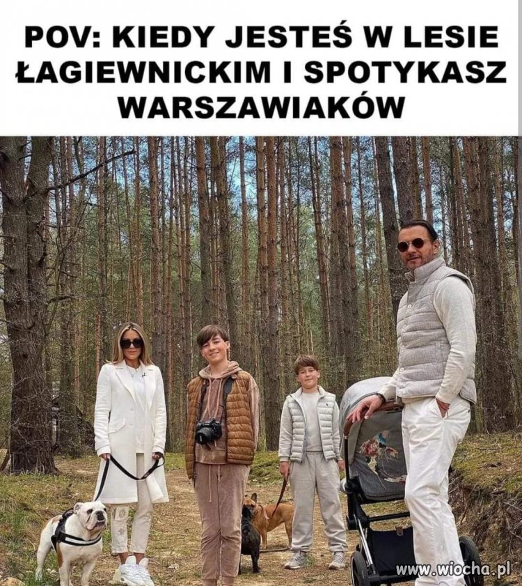 Patocelebryci