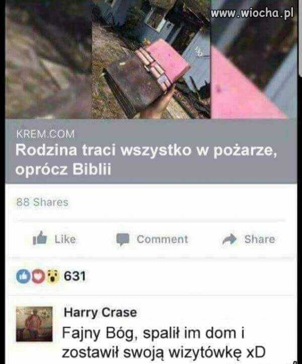 Fajny Bug.
