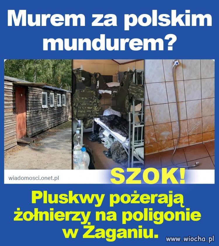 Pisowskie "Murem za polskim mundurem".