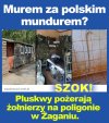 Pisowskie "Murem za polskim mundurem".
